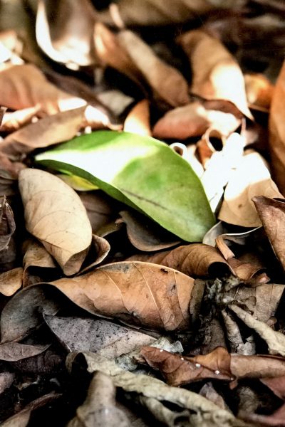 ©Phumelele Kunene Photography2